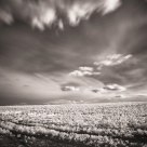 Skyward